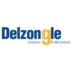 LOGO DELZONGLE